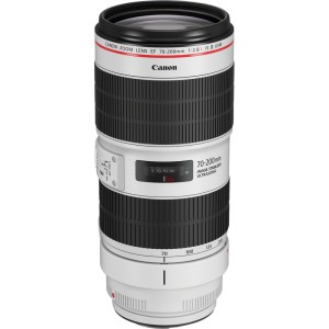 Canon EF 70-200mm f/2.8 L...